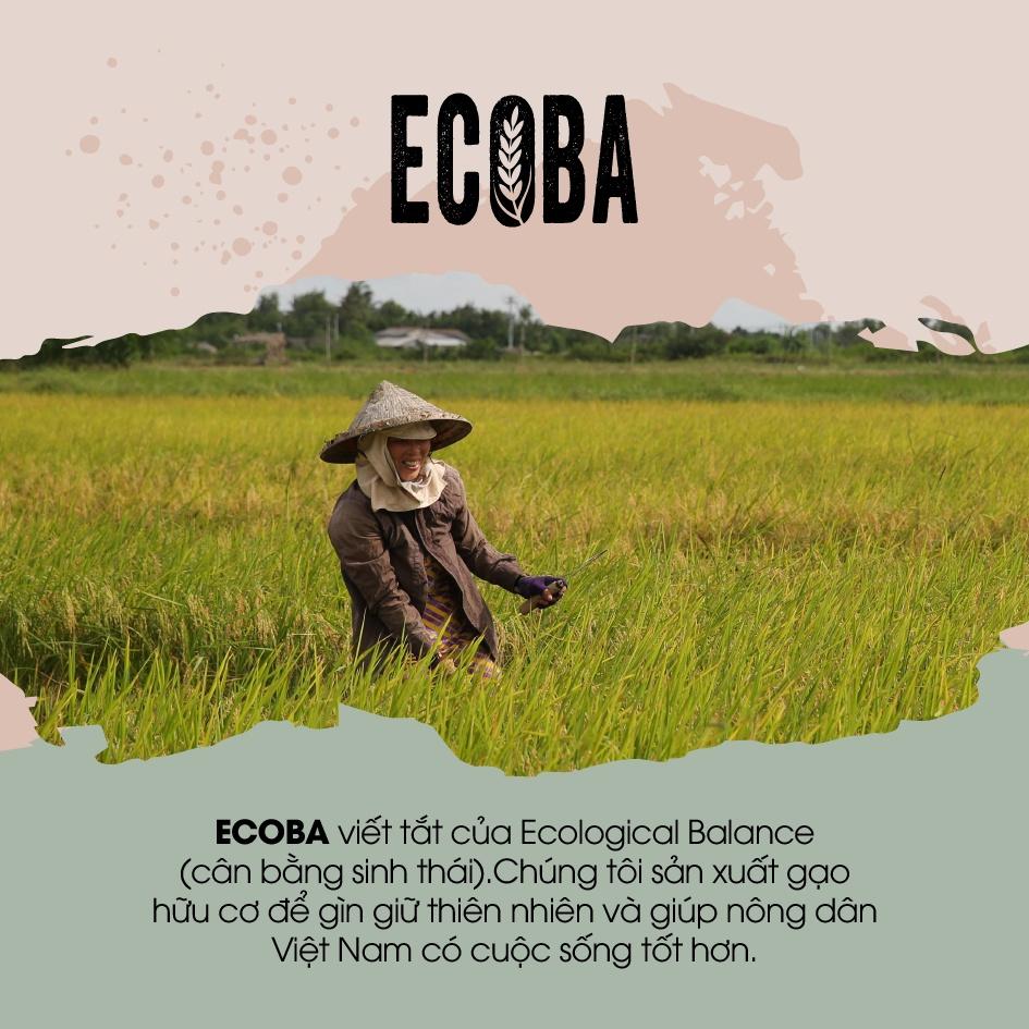Gạo lứt đen hữu cơ/ Ecoba Huyền Mễ 1kg - Combo 3 hộp (tổng 3kg)