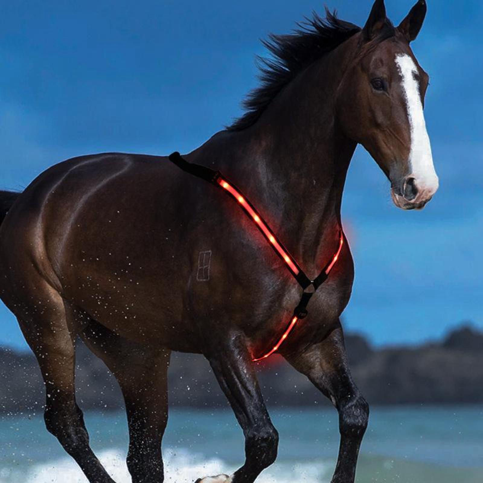 USB LED Horse Breastplate Collar Halter Chest Visibility Horse Riding Bridle