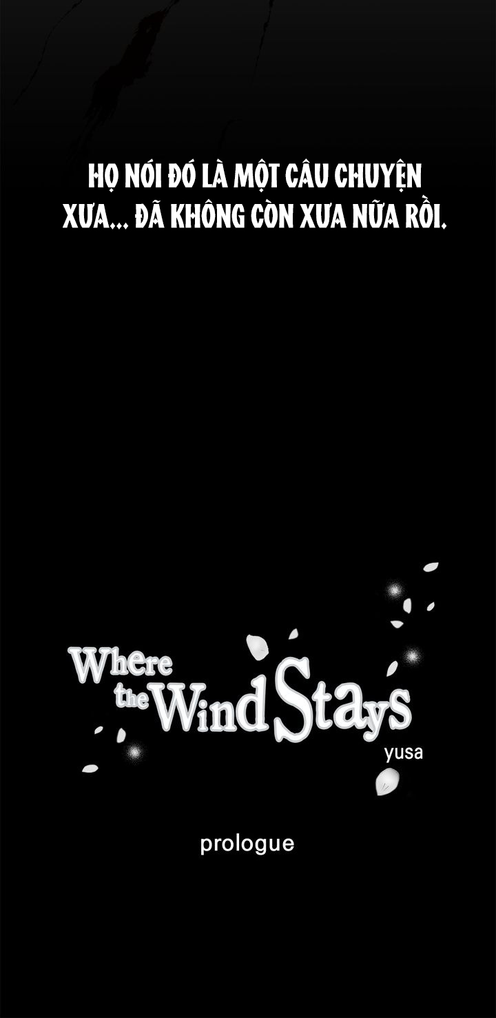 nơi cơn gió dừng chân chapter 0 10