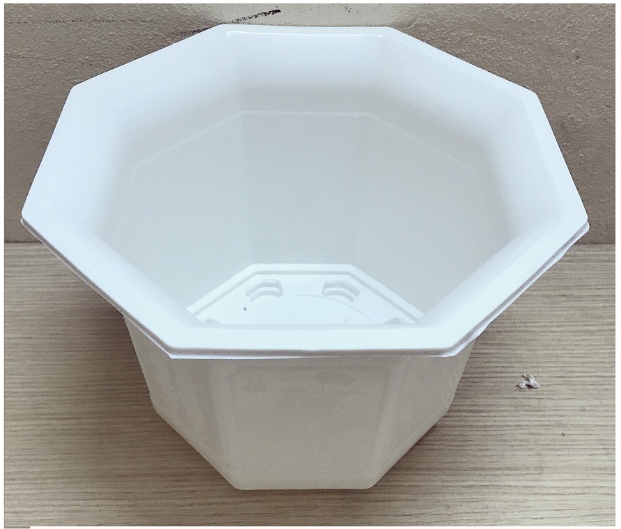 10 Chậu Nhựa Bát Giác 170x120 Màu Trắng