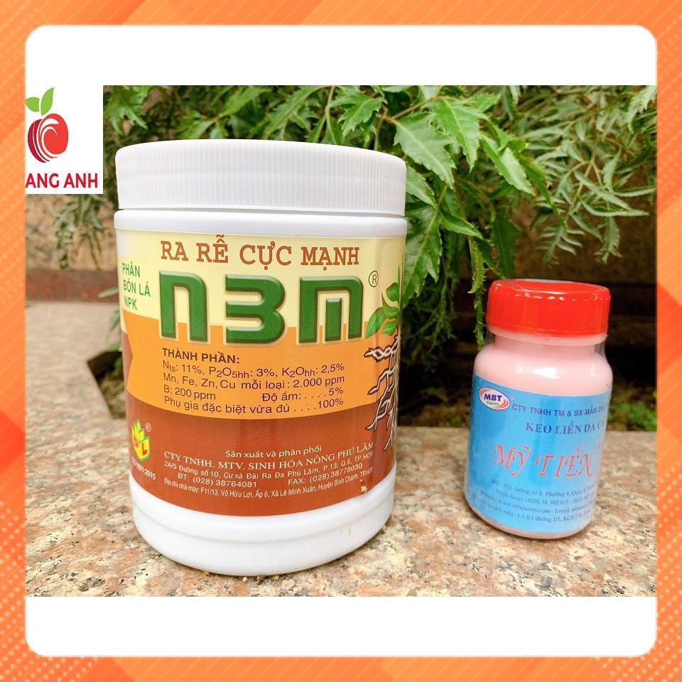 Keo liền da cây Mỹ Tiến 100gr và Kích ra rễ cực mạnh N3M 500gr