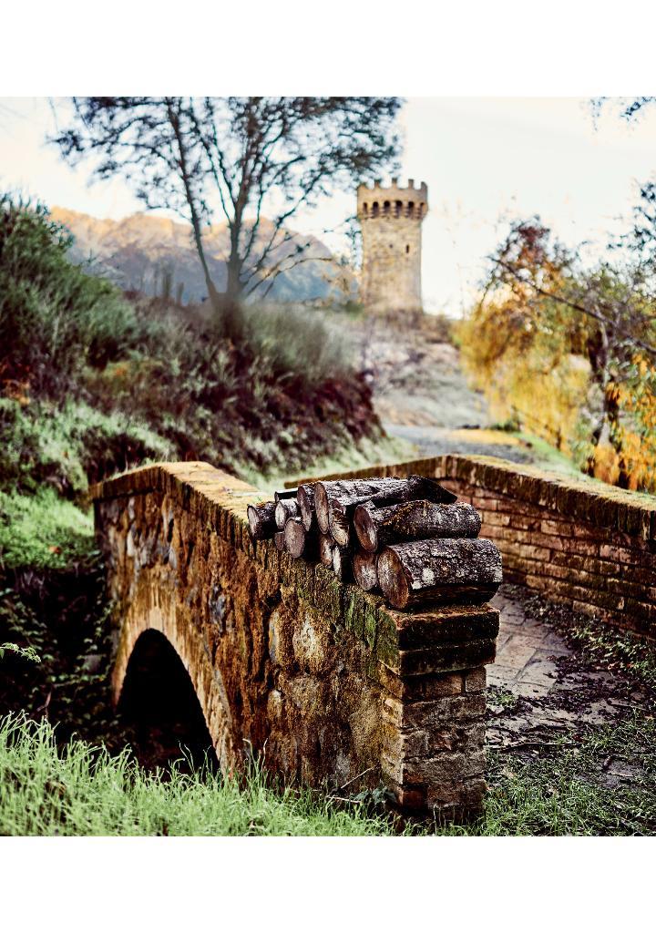 Sách ngoại văn: Heroes Fu Isuto Bishoku No Tagen Uchu D&amp;D Official Recipe Guide DUNGEONS &amp; DRAGONS (Japanese Edition)