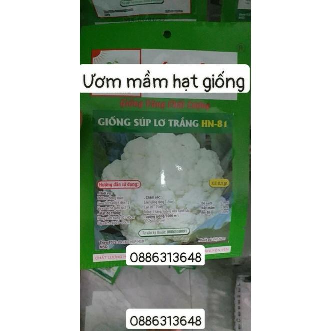 Giống súp lơ trắng f1