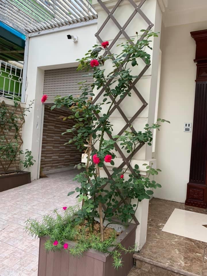 Giàn hoa co giãn đa năng chiu được nắng mưa
