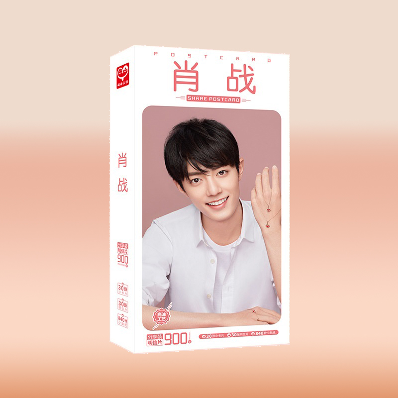 Postcard thẻ ảnh Tiêu Chiến Ngụy Vô Tiện Trần Tình Lệnh 900pcs
