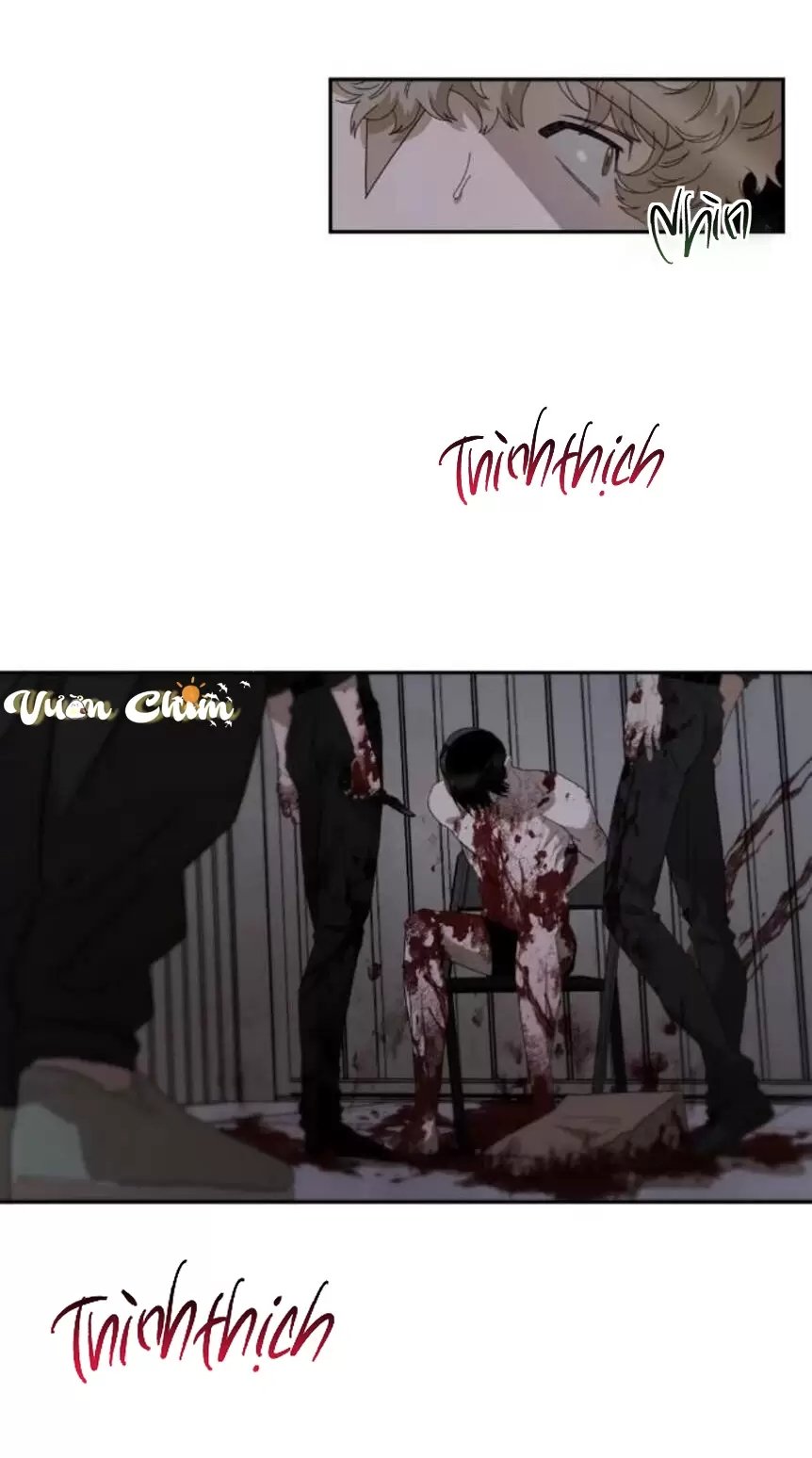 liveta chapter 33 37