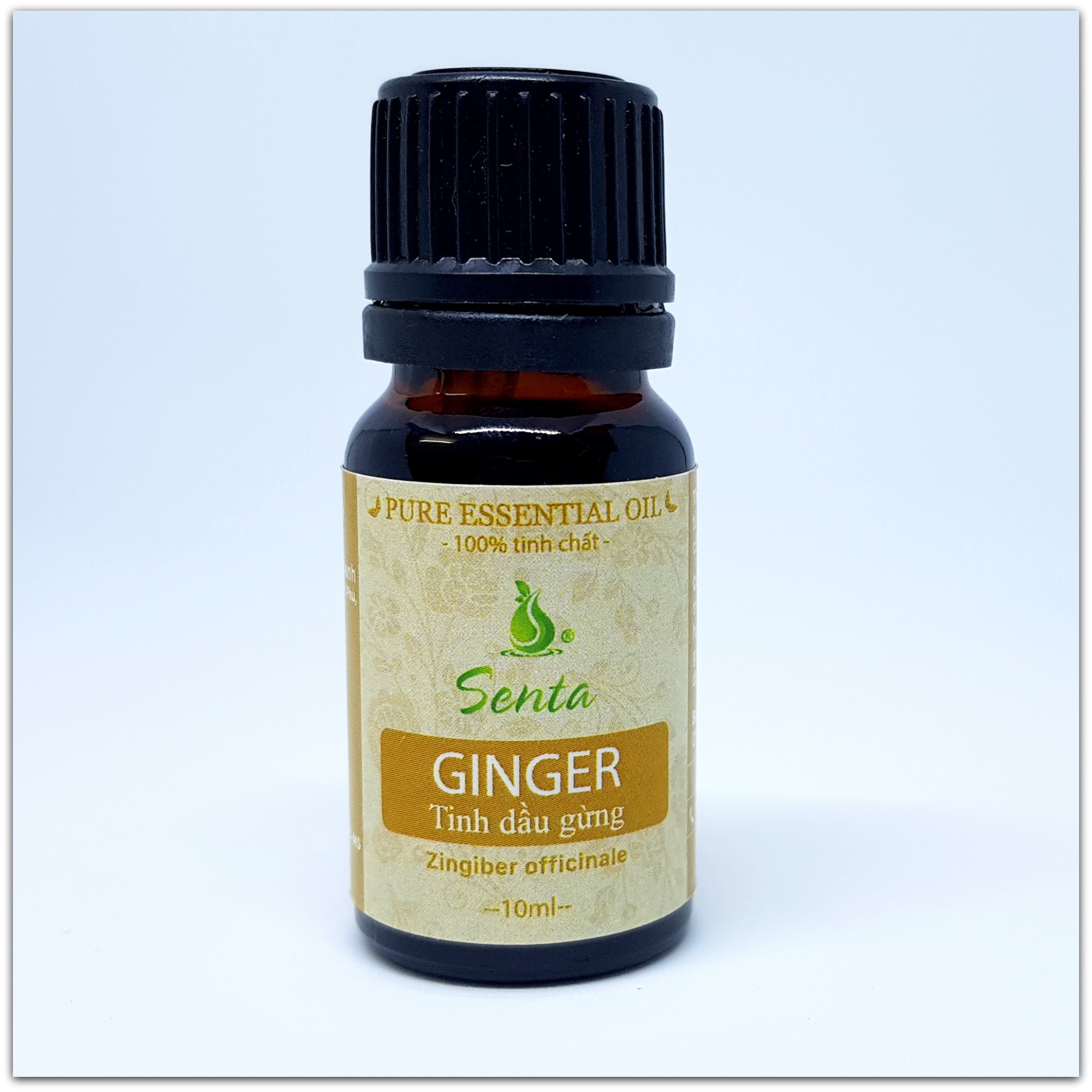 Tinh Dầu Gừng Senta 10ml