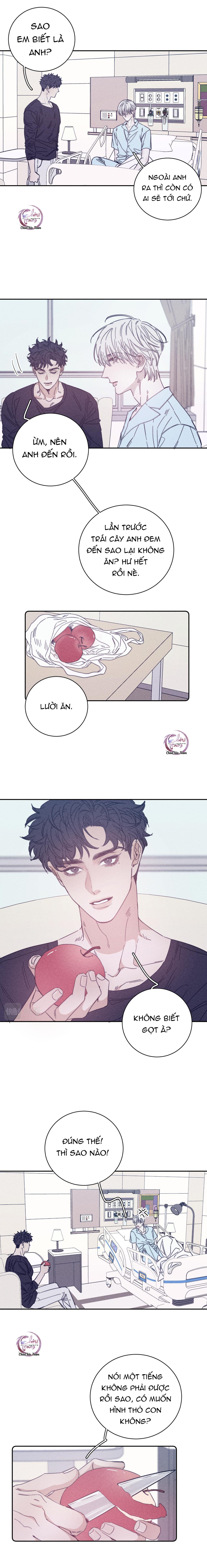 mùa xuân đang đến chapter 60 5