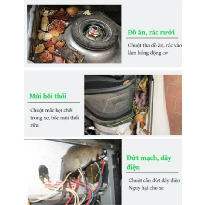 Xịt đuổi chuột côn trùng XS, Xịt đuổi chuột, Thảo Dược Thiên Nhiên Hiệu Quả, Dùng Cho Mọi Nhà - Công nghệ sinh học an toàn cho người