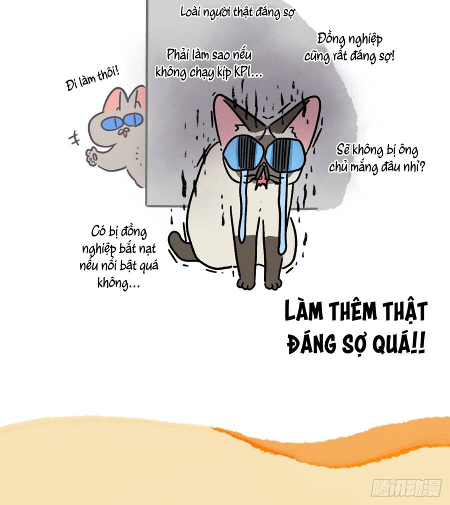 a mãn và mạch trà chapter 163 6