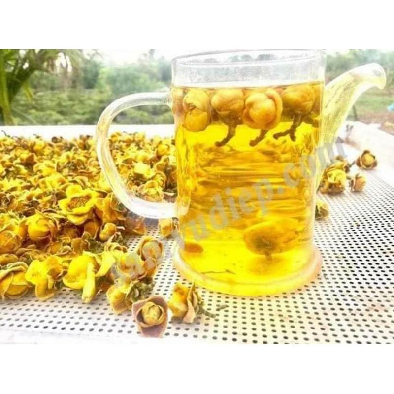 Cây giống trà hoa vàng ươm hạt cây cao 15cm