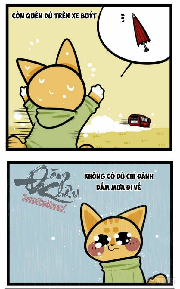 đời không như mình tưởng chapter 37 4