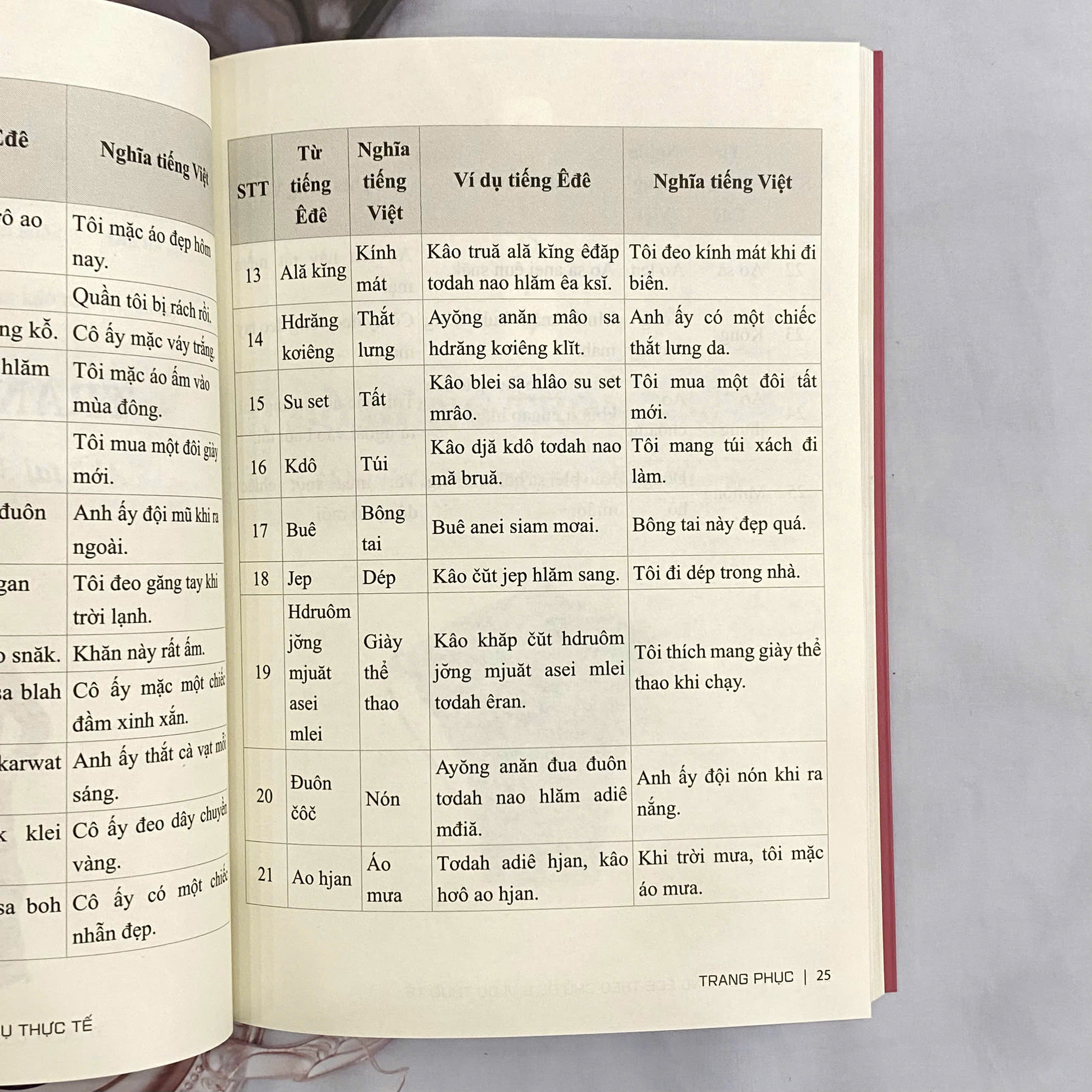 Sách - Từ vựng tiếng Êđê theo chủ đề và ví dụ thực tế (Song ngữ Êđê - Việt)