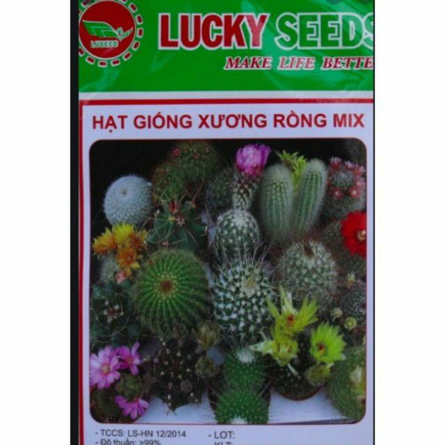 Hạt Giống Xương Rồng Mix Nhiều Loại - Hạt Giống F1