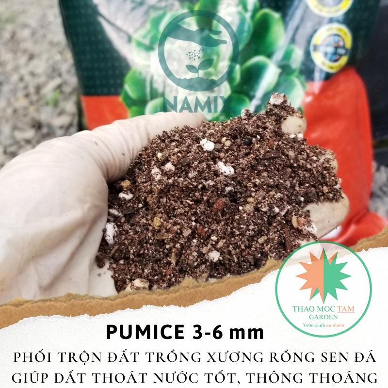 Bao 20Kg Đá Pumice 3-6mm trồng sen đá Namix  – Đá bọt size nhỏ chuyên trồng sen đá, xương rồng và các loại cây mọng