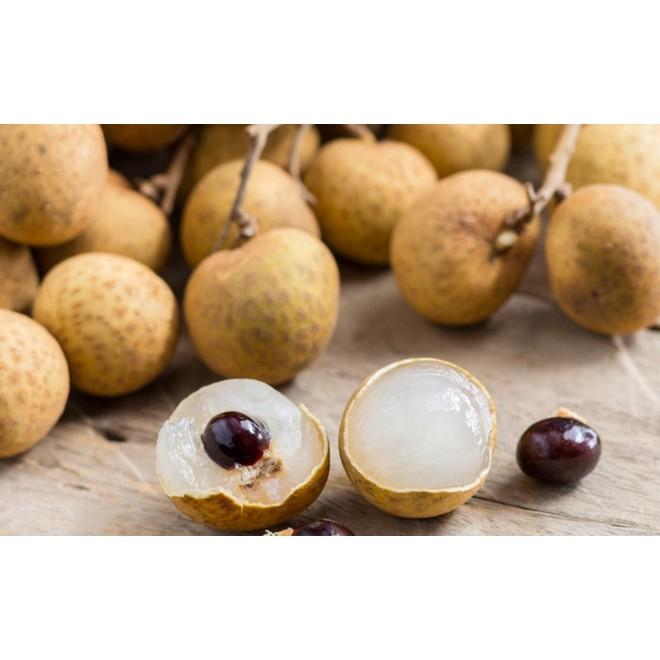 CÂY GIỐNG NHÃN ĐƯỜNG PHÈN .