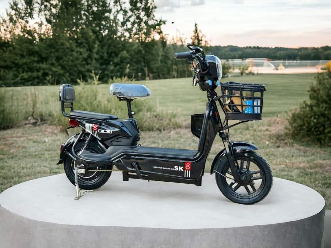 XE ĐIỆN SK8