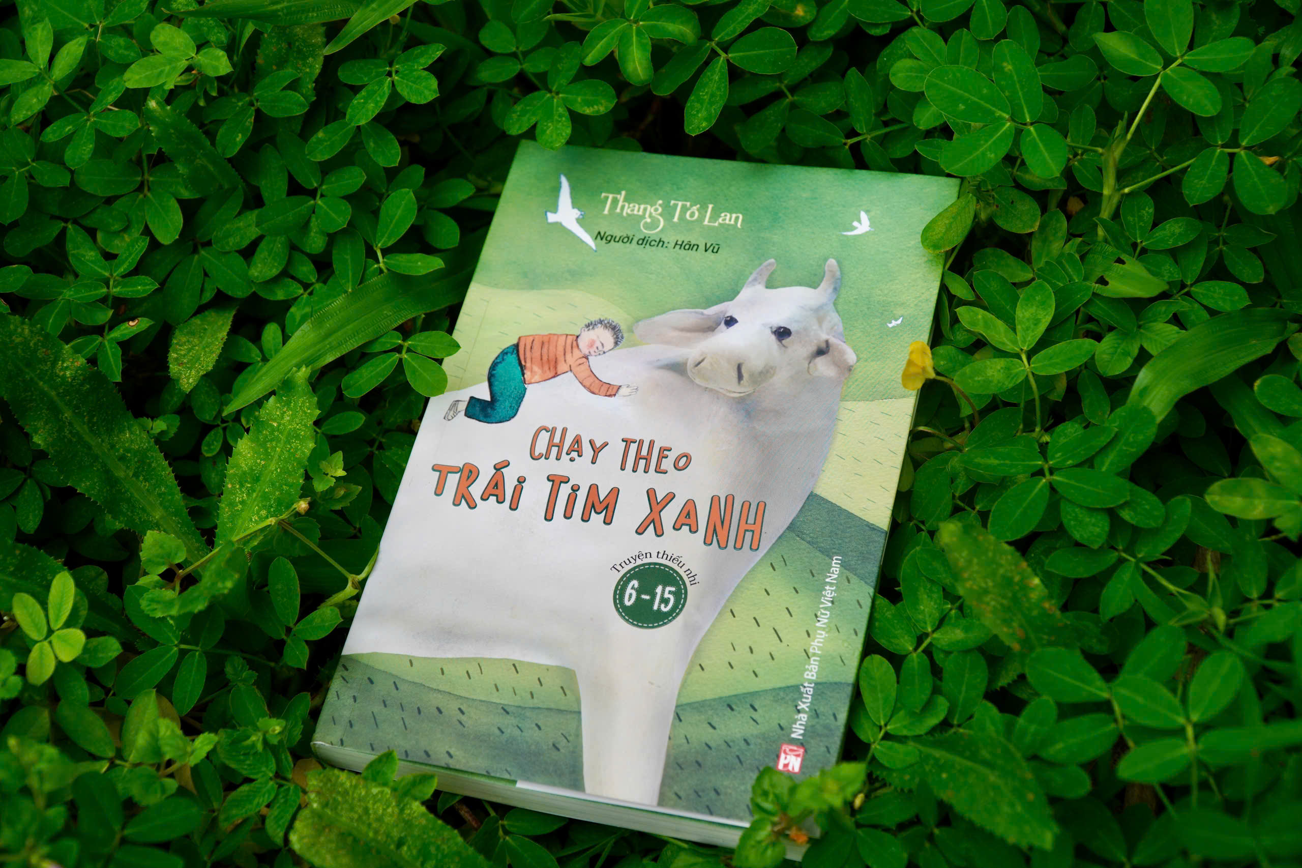 Sách Chạy Theo Trái Tim Xanh