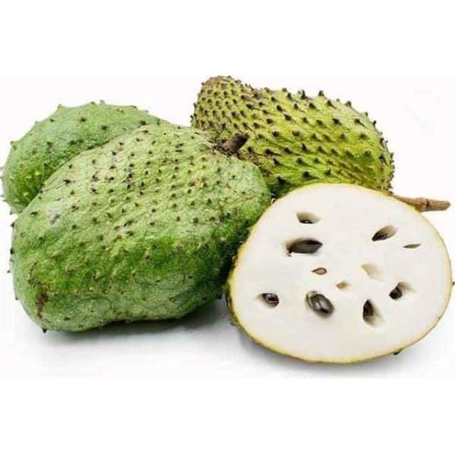 Cây giống Mãng Cầu Xiêm Thái