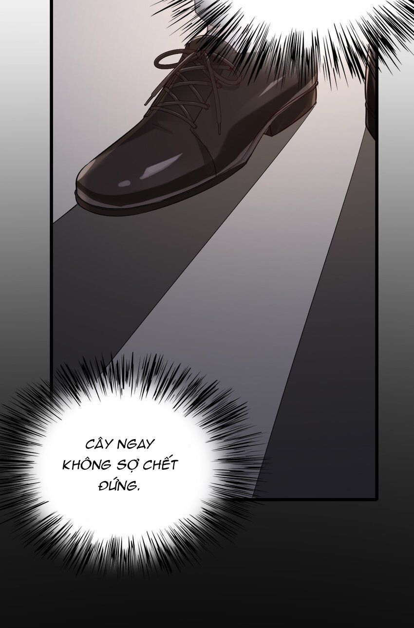 tức thời phạm quy [ tức thì vi quy ] chapter 66 47