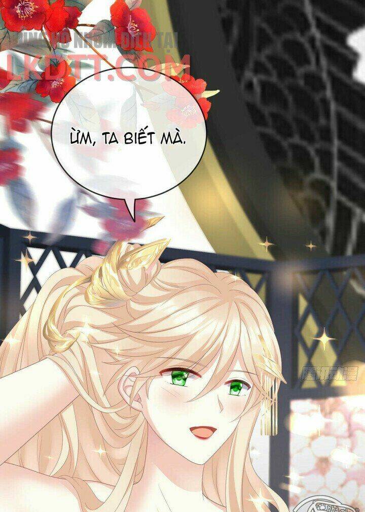 kiều phu có hỉ chapter 19 39