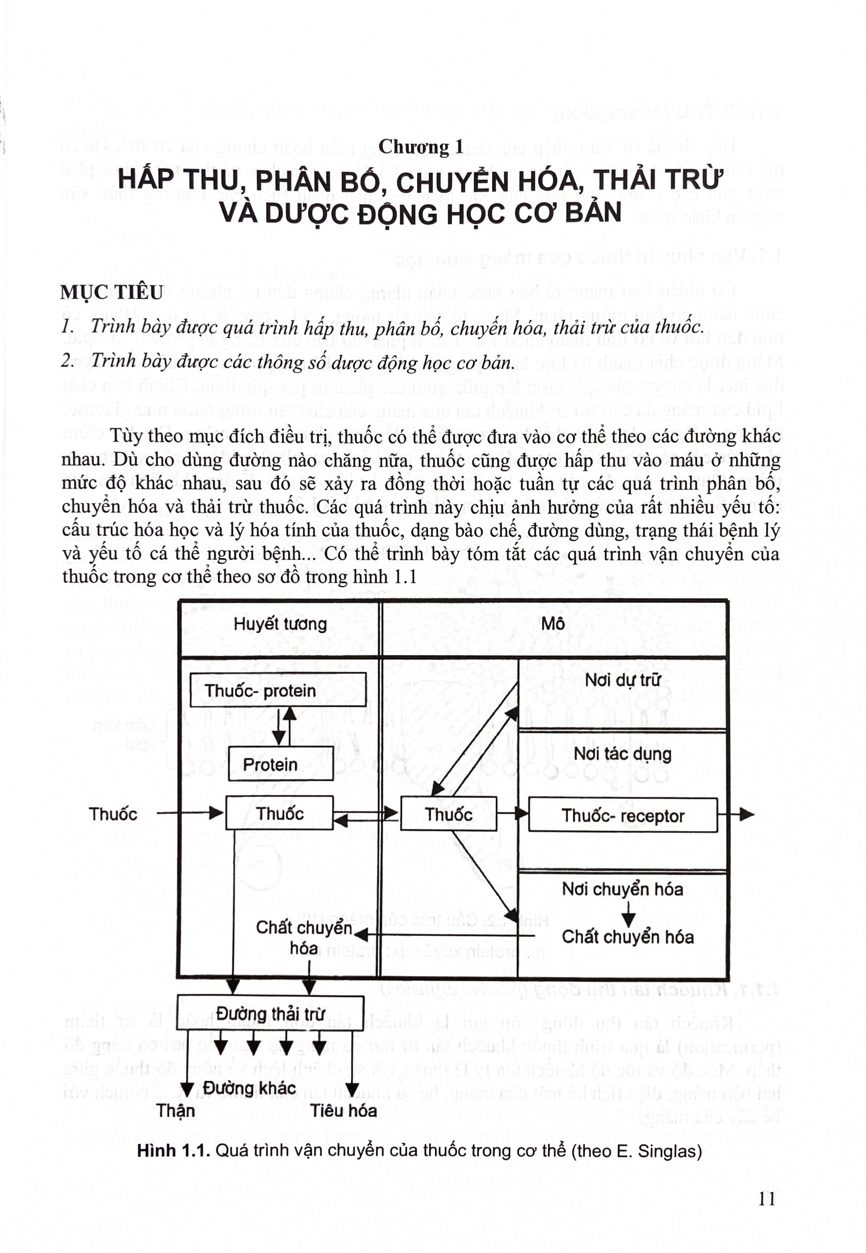 Benito - Sách - Dược lý học Tập 1 (2024) - NXB Y học
