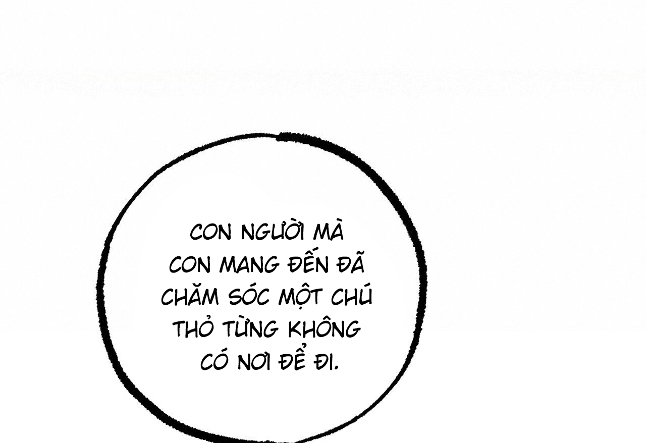 đàn thỏ của habibi chapter 62 88