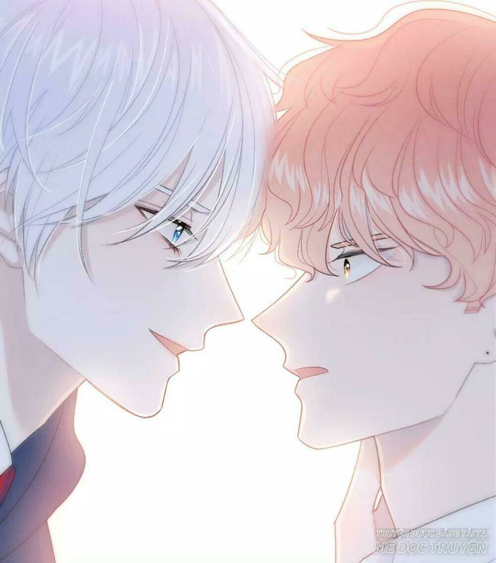 từ cái nhìn của em chapter 22 11