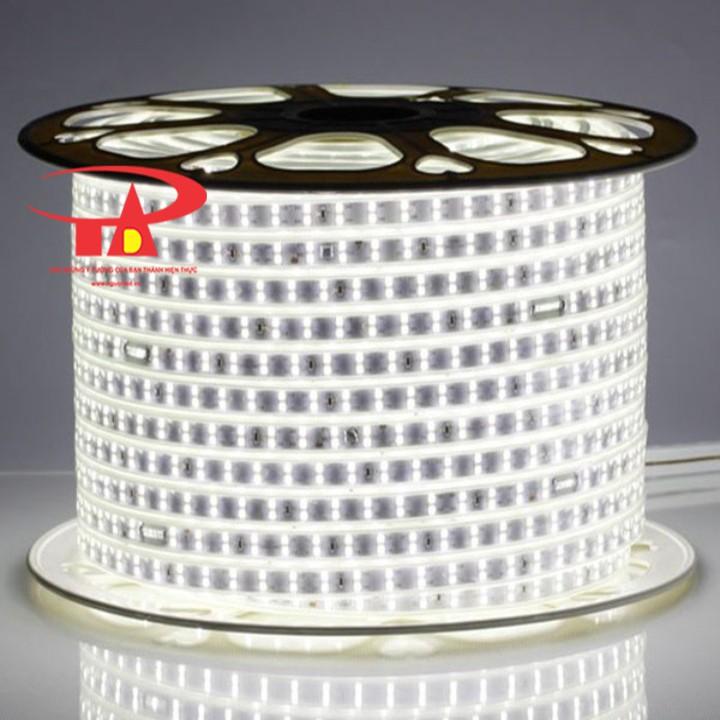 Đèn led dây 2835 cuộn 100m 220v