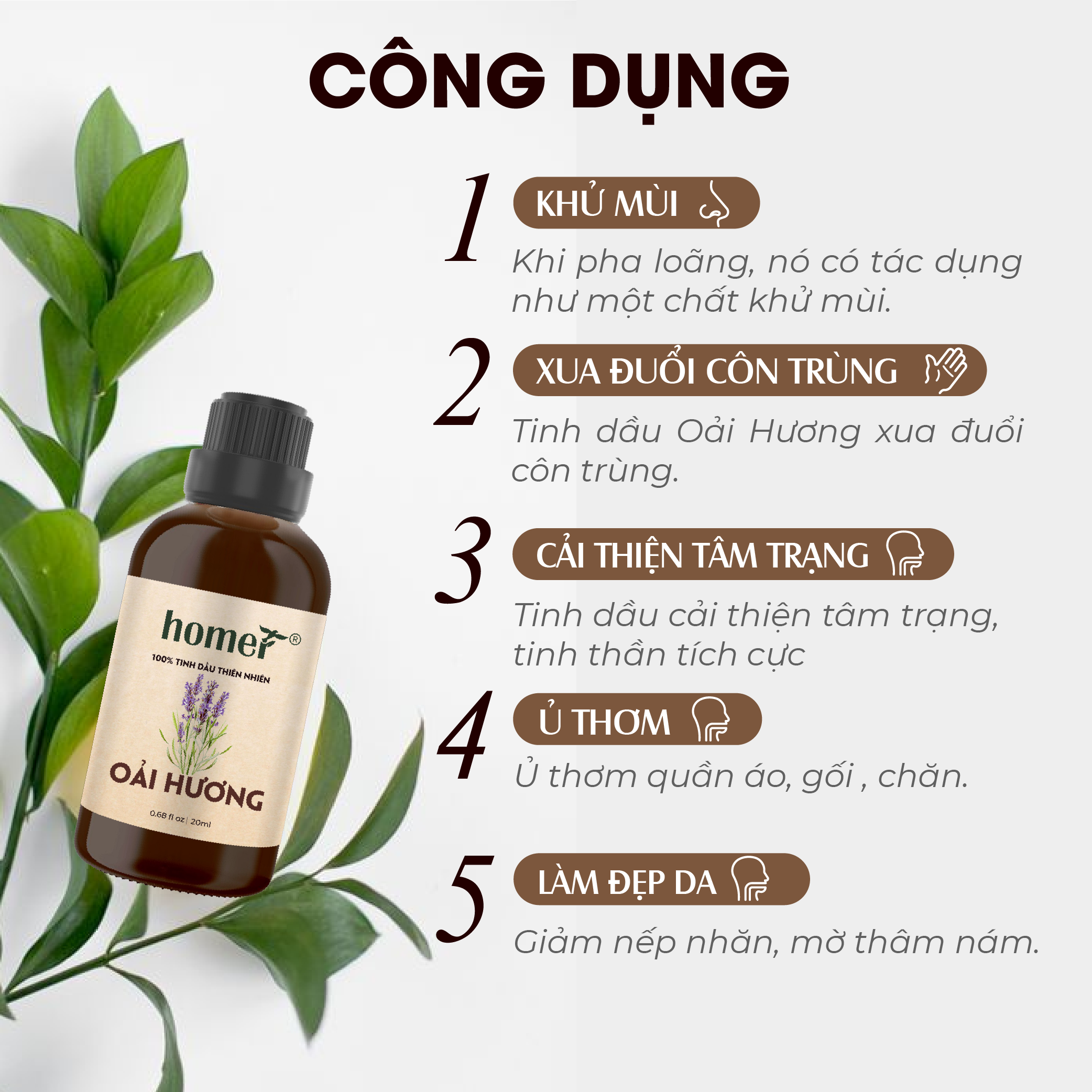 Tinh Dầu Oải Hương Homer 100ML - Tinh Dầu Lavender Thiên Nhiên Nhập Khẩu Nguyên Chất Giúp Giảm Stress, Khử Khuẩn và Xua Đuổi Côn Trùng, Sử Dụng Hiệu Quả với Máy Xông Tinh Dầu