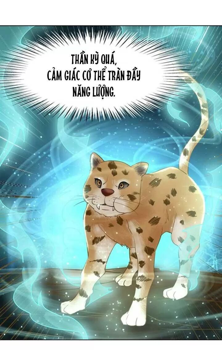 cực phẩm phế vật tiểu thư chapter 60 46