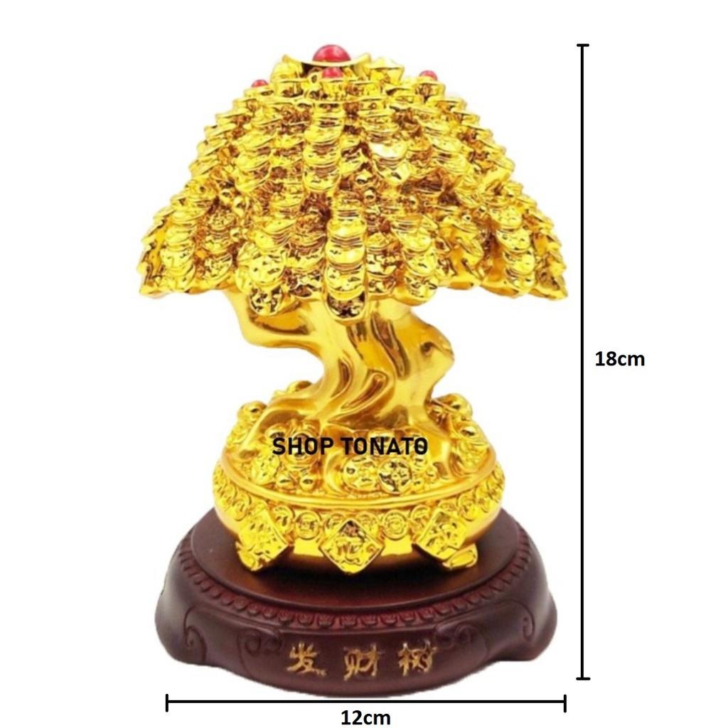 CÂY TIỀN PHONG THỦY 241 CAO 18CM