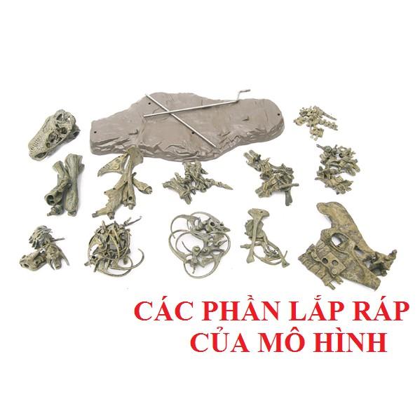 MÔ HÌNH BỘ XƯƠNG KHỦNG LONG - MÔ HÌNH TRANG TRÍ HỒ CÁ