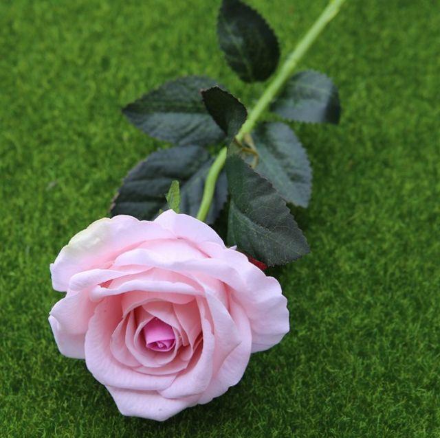 Hoa hồng nhung 1 bông đẹp kiêu kì/hoa giả
