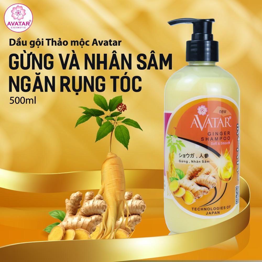 Dầu gội thảo mộc AVATAR Gừng &amp; Nhân Sâm 500ml Ngăn tóc gãy rụng Kích thích mọc tóc