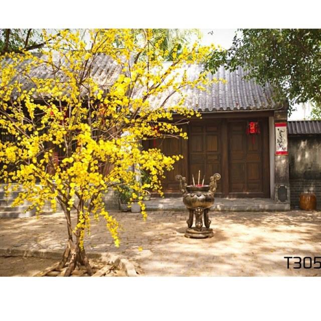Phông nền chụp ảnh mã t305