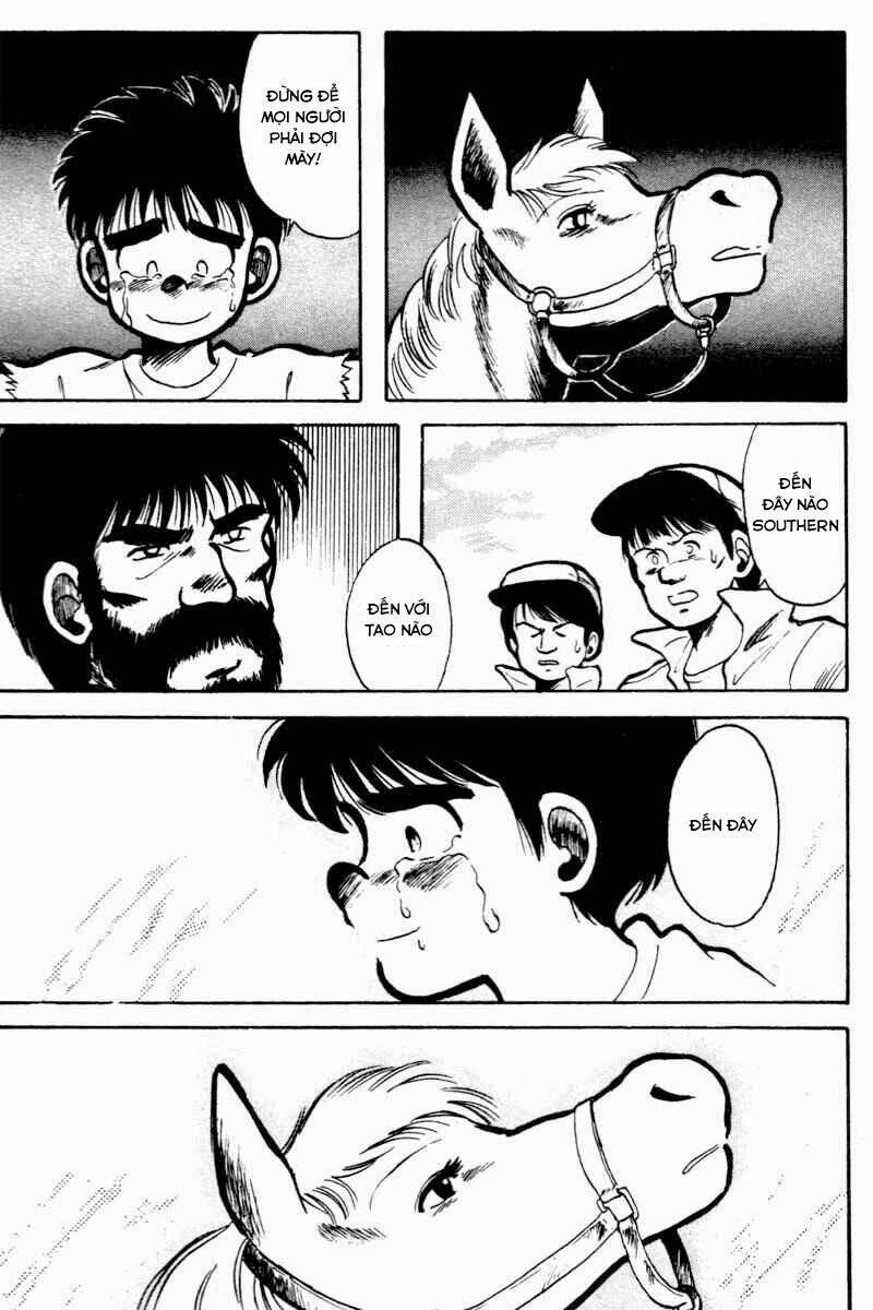 kaze no sylphid - phong mã silphid chapter 1 28