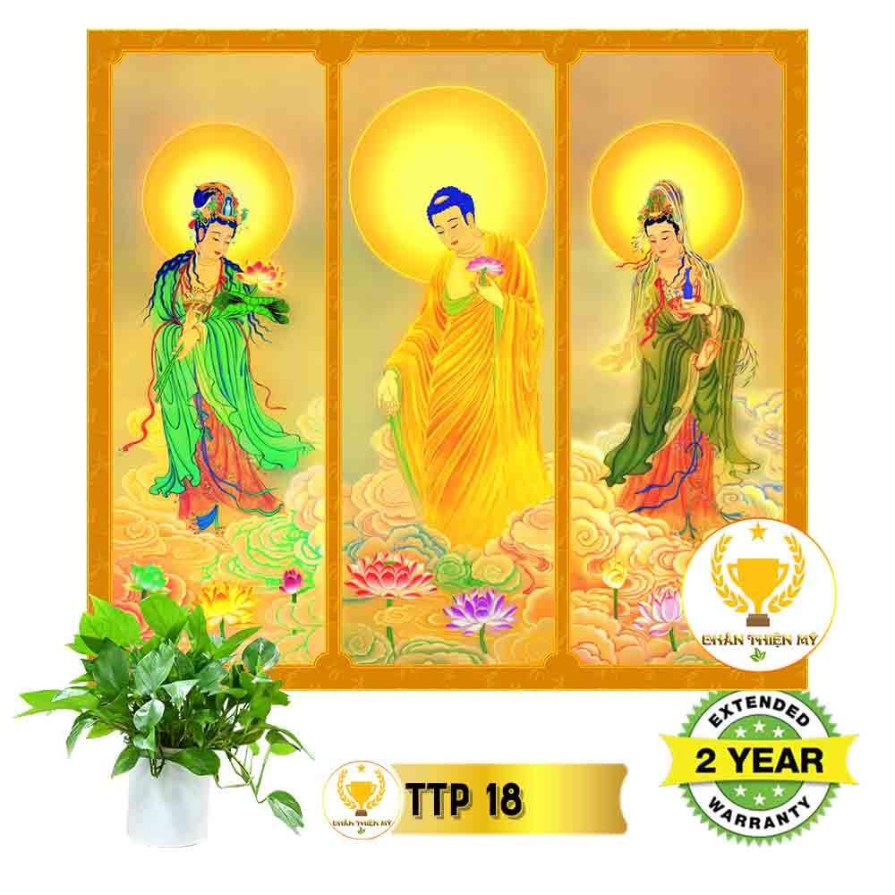 Tranh điện Tam Thế Phật_TTP2