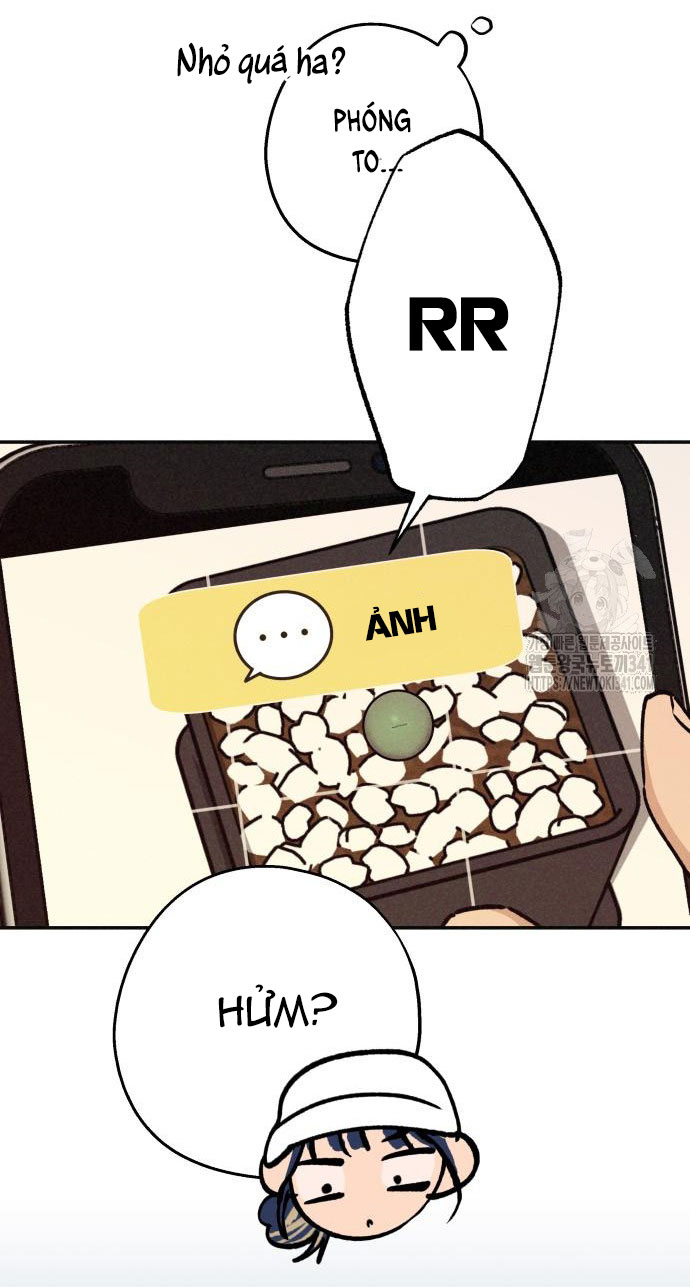 Mối Quan Hệ Đặc Biệt chapter 16.1 11