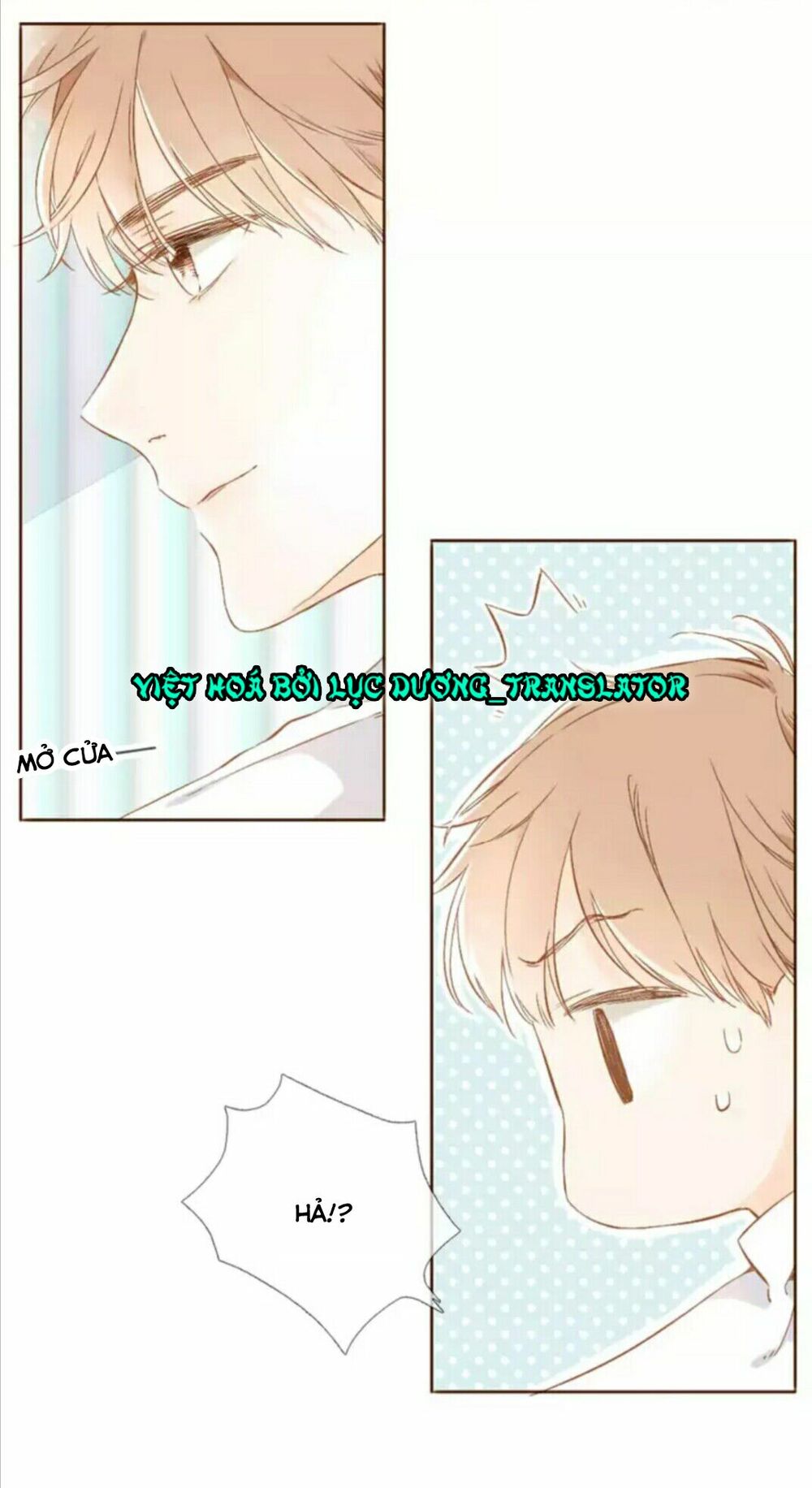 Tình yêu là màu hoa anh thảo chapter 29.2 8