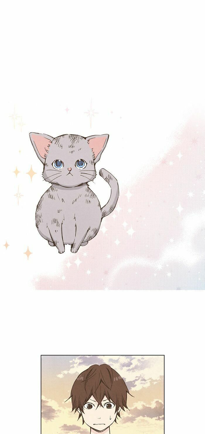 honey! honey! marry me! chapter 31 31