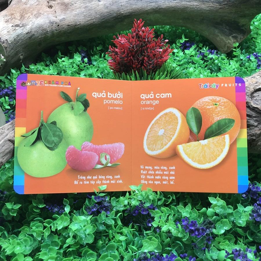 Bé Khám Phá Môi Trường Xung Quanh  - Bản Quyền