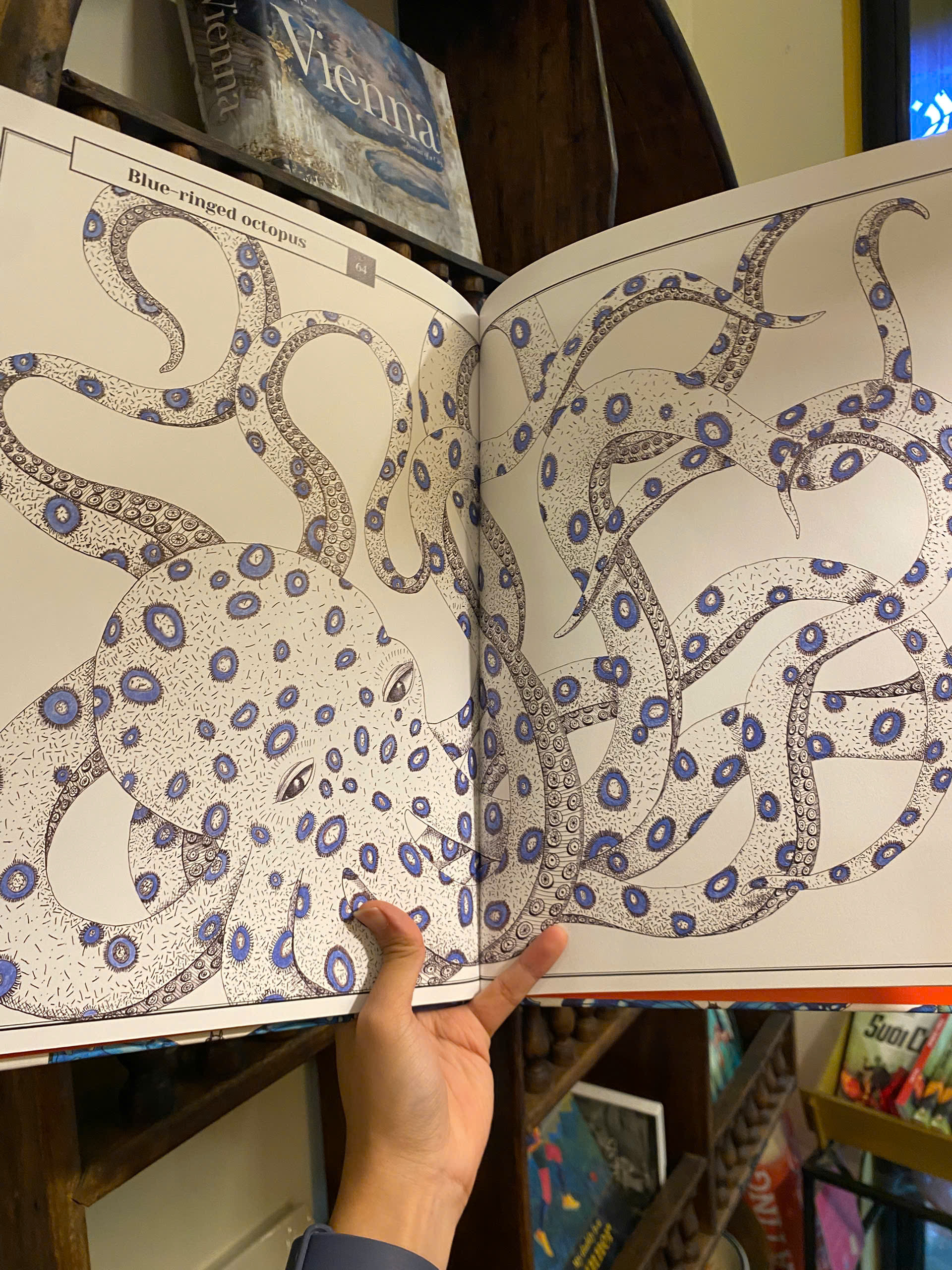 Sách - Wonders of Nature: Explorations in the World of Birds, Insects and Fish by Florence Guiraud