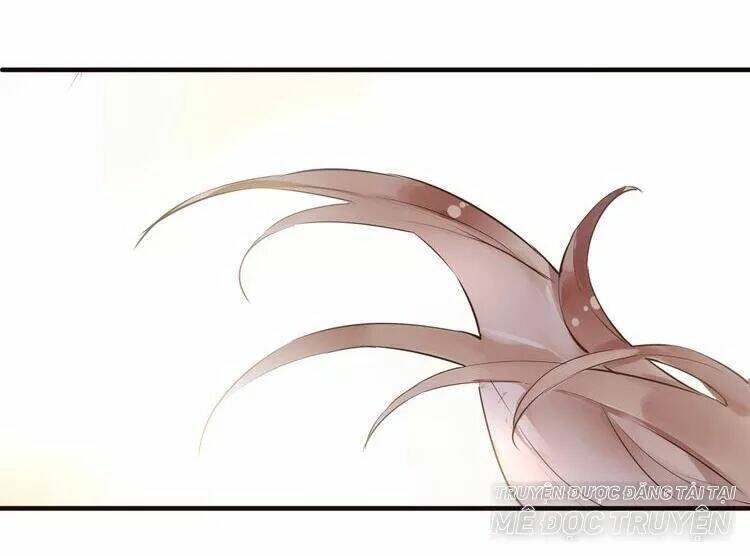 nở rộ trên bụi gai chapter 39 11