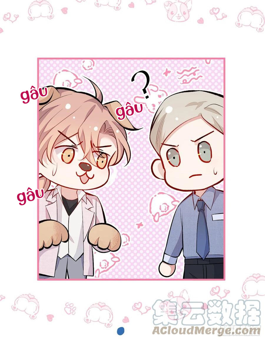 lại bị nam thần chọc trên hot search! chapter 96 27