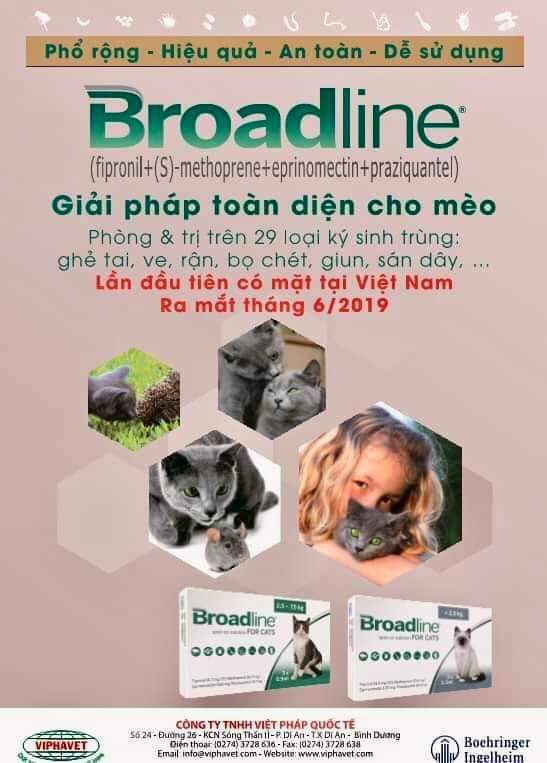 1 ống Broadline diệt nội ngoại ký sinh trùng (mèo &lt; 2,5kg)