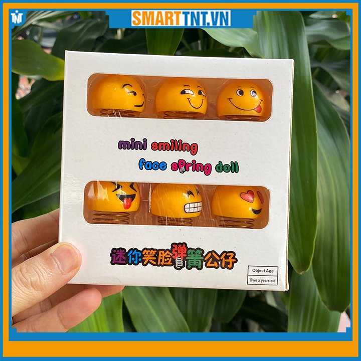 Hộp 6 con thú nhún mini emoji lò xo có biểu cảm ngộ nghĩnh vui nhộn