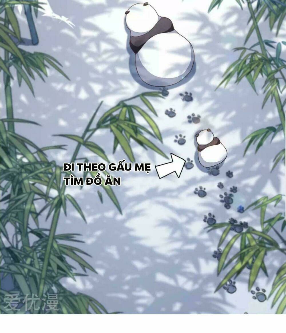 xuyên về cổ đại làm quốc bảo chapter 4 4