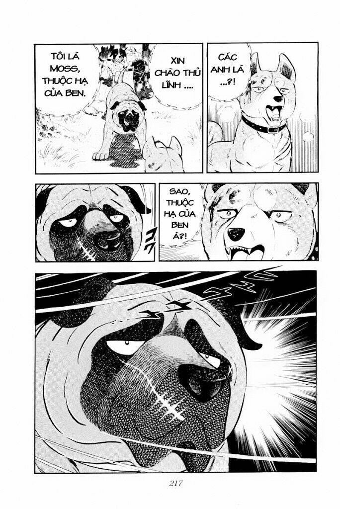 chú chó có nghĩa - ginga nagareboshi gin chapter 29.2 4
