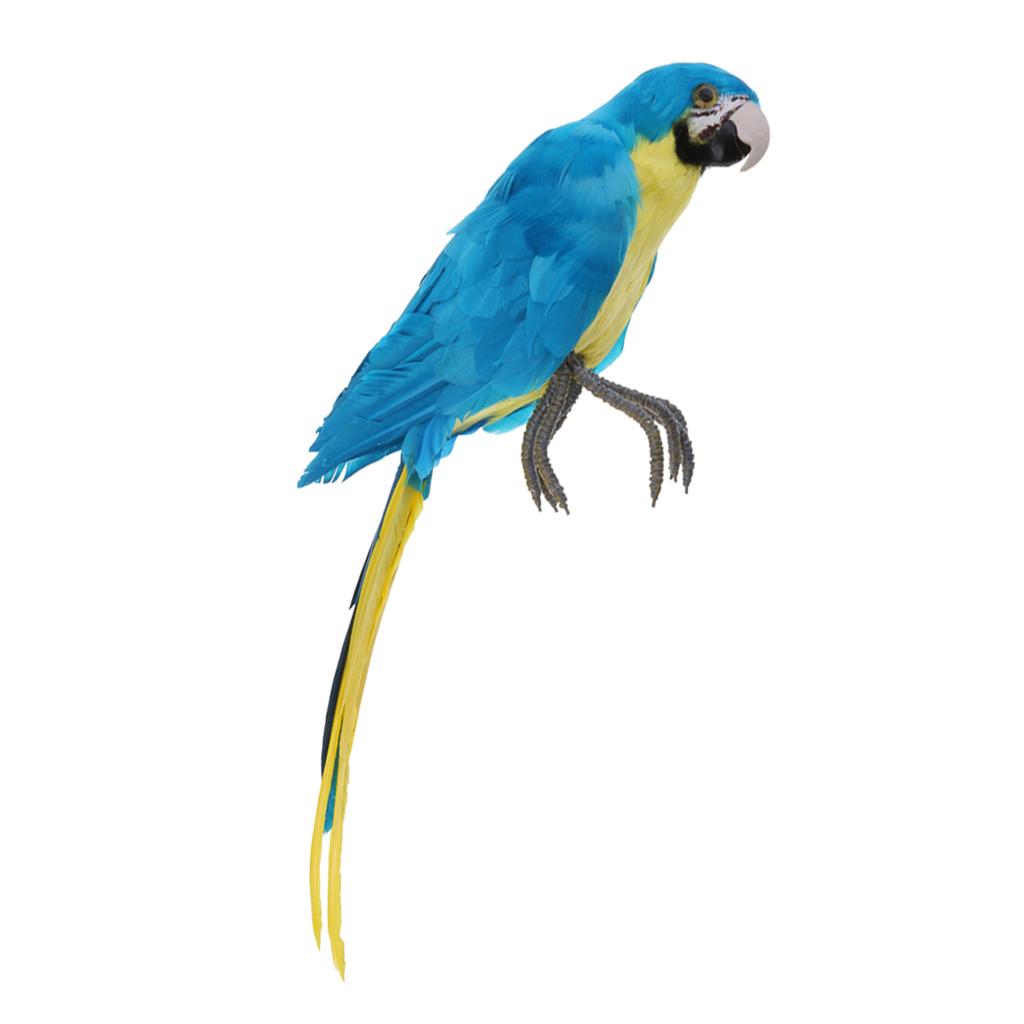 Lông Vũ Nhân Tạo Xanh Chim Vẹt Thủ Công Taxidermy Nhà Nghệ Thuật Trang Trí Vật Trang Trí